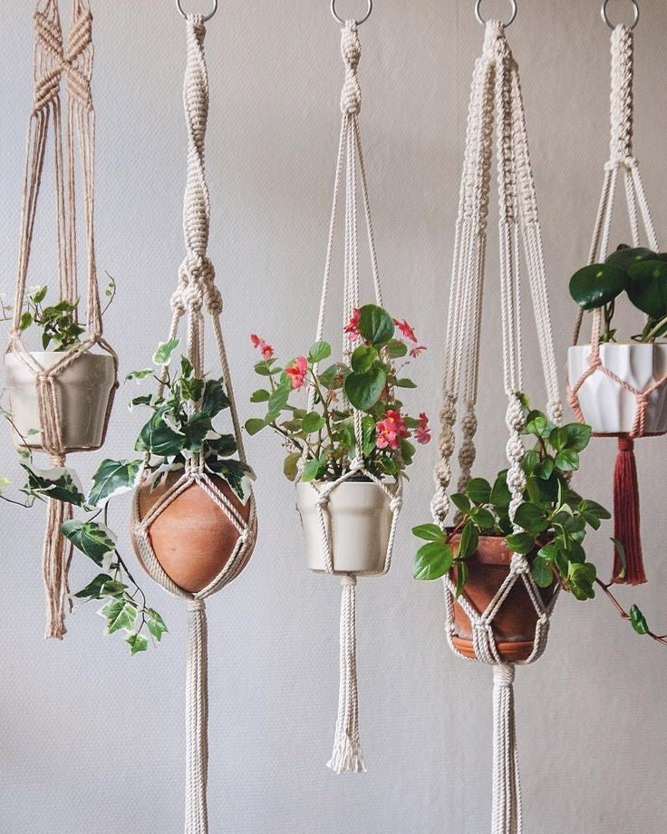 Beautiful Plant Hangers