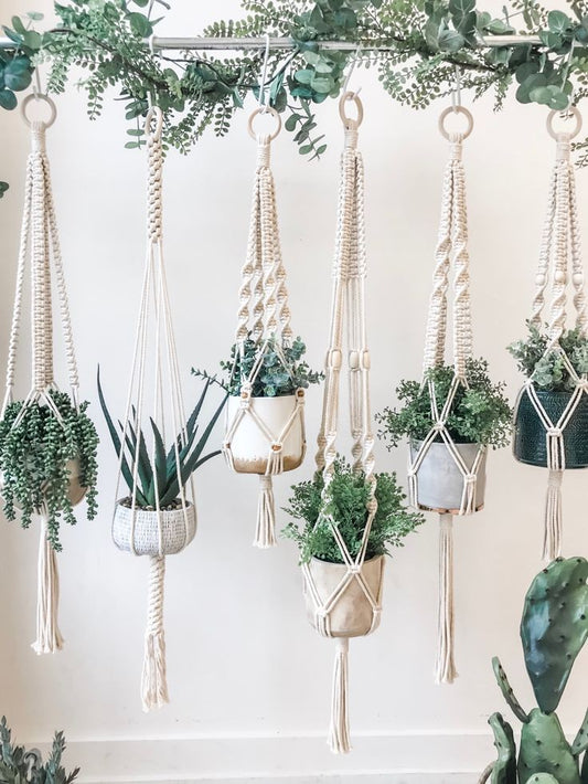 Beautiful Plant Hangers